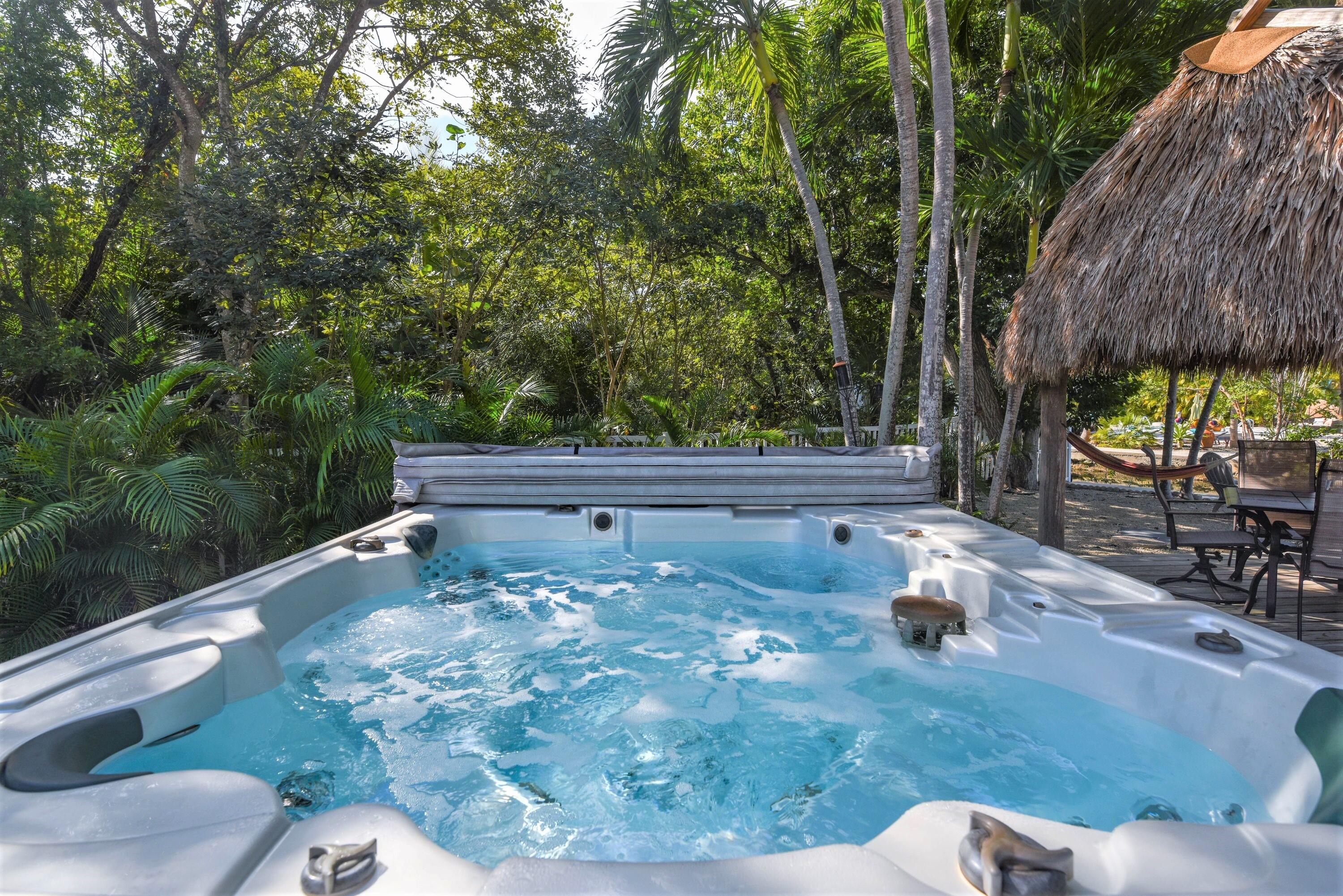 3828 Gillott Road Big Pine Key, FL 33043 - Photo 28 of 46 Spa/Jacuzzi
