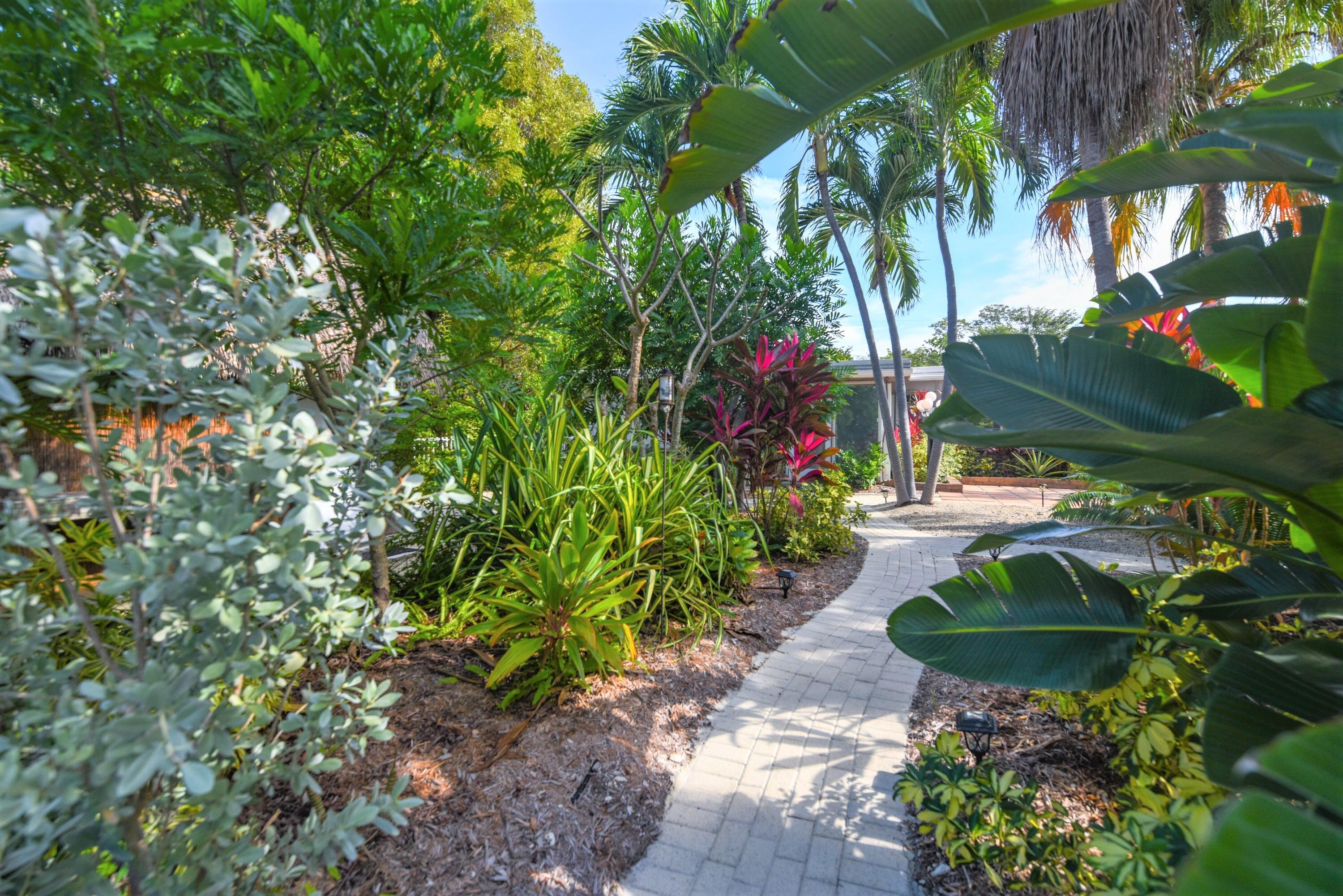 3828 Gillott Road Big Pine Key, FL 33043 - Photo 34 of 46 Lush Landscaping
