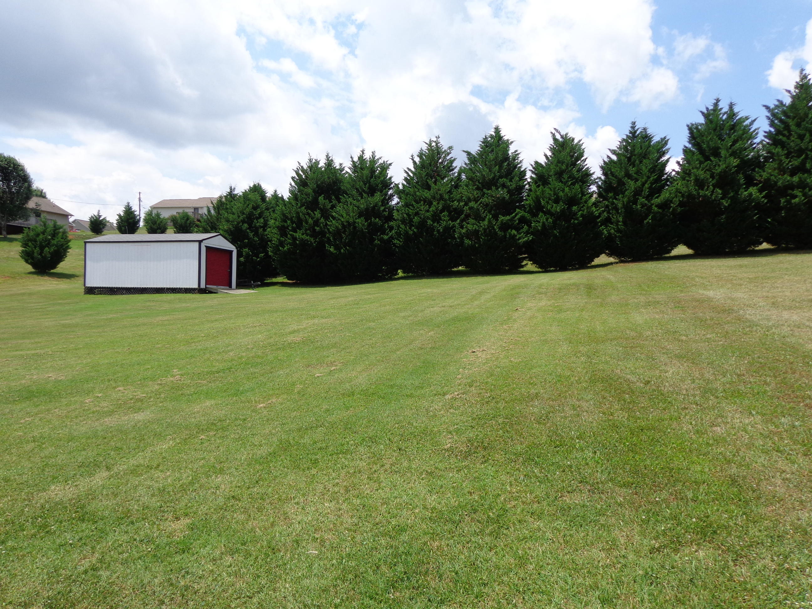 143 Raspberry Drive New Market, TN 37820 - Photo 29 of 40 #578953 raspberry (4)