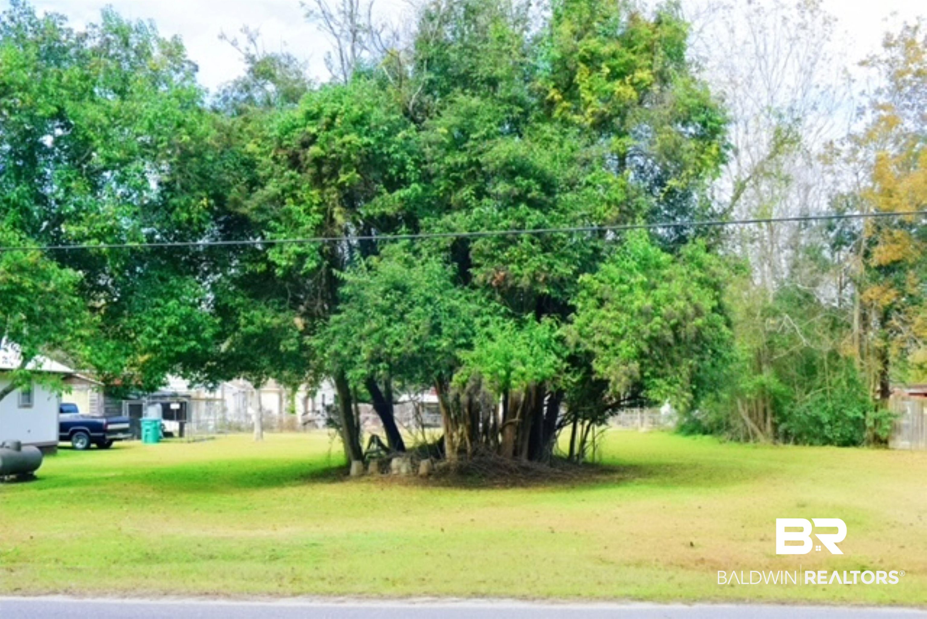 118 Short Street Atmore, AL 36502 - Photo 4 of 4