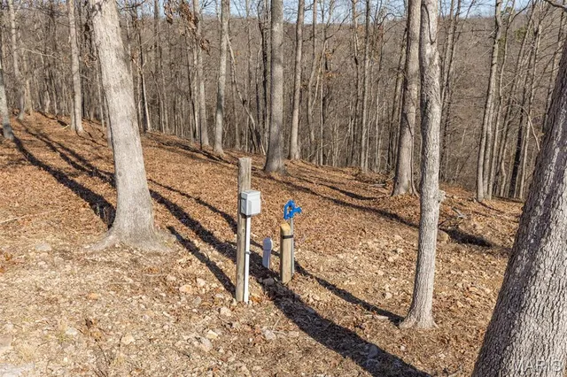 $249,000 | 301 State Ridge Road, Annapolis, MO 63620