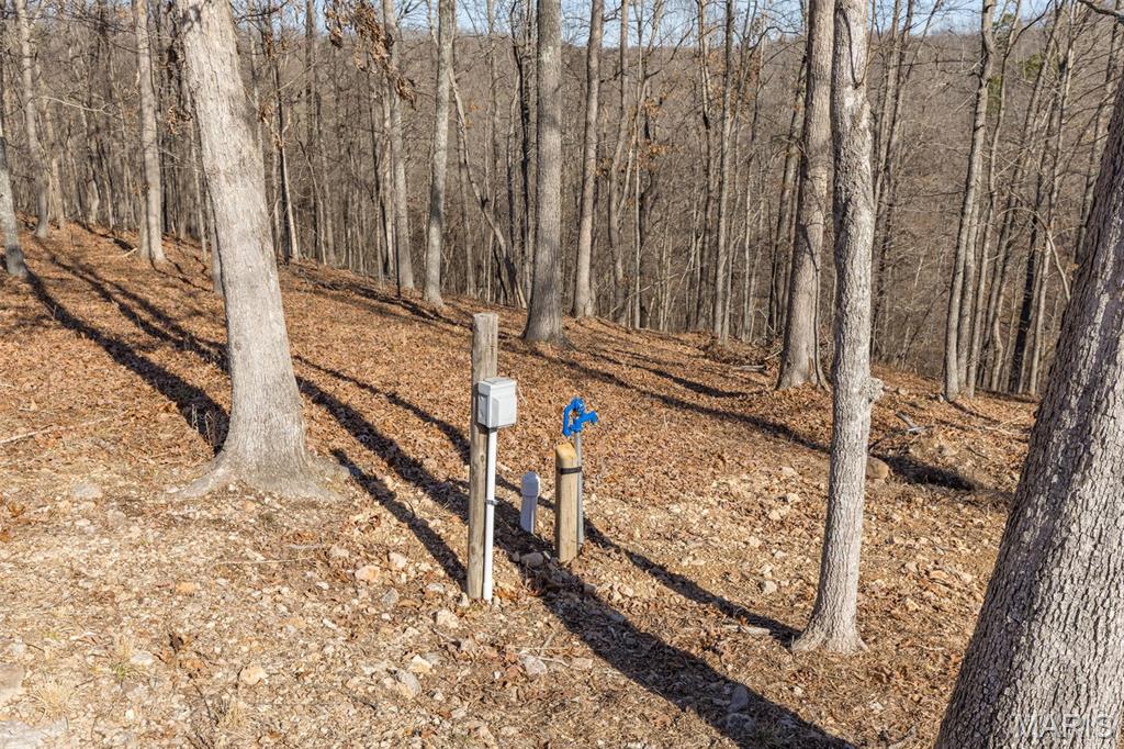 301 State Ridge Road Annapolis, MO 63620 - Photo 24 of 36