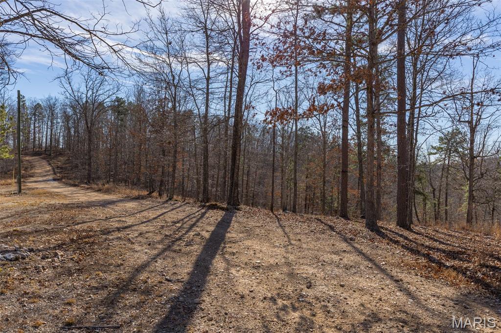 301 State Ridge Road Annapolis, MO 63620 - Photo 25 of 36