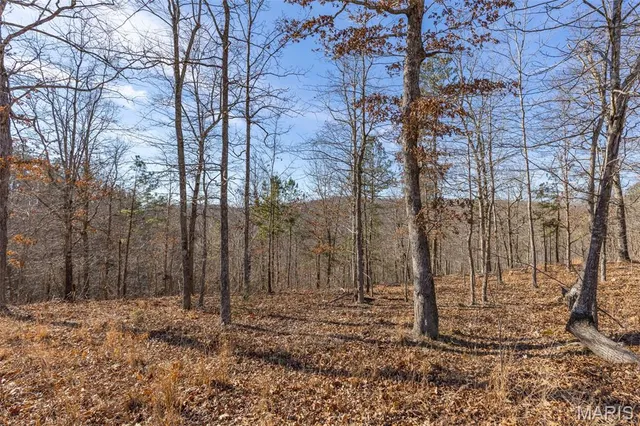 $249,000 | 301 State Ridge Road, Annapolis, MO 63620