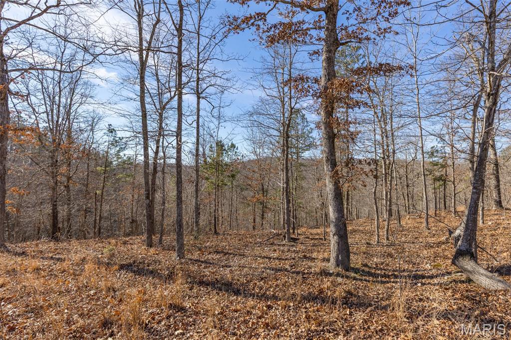 301 State Ridge Road Annapolis, MO 63620 - Photo 27 of 36