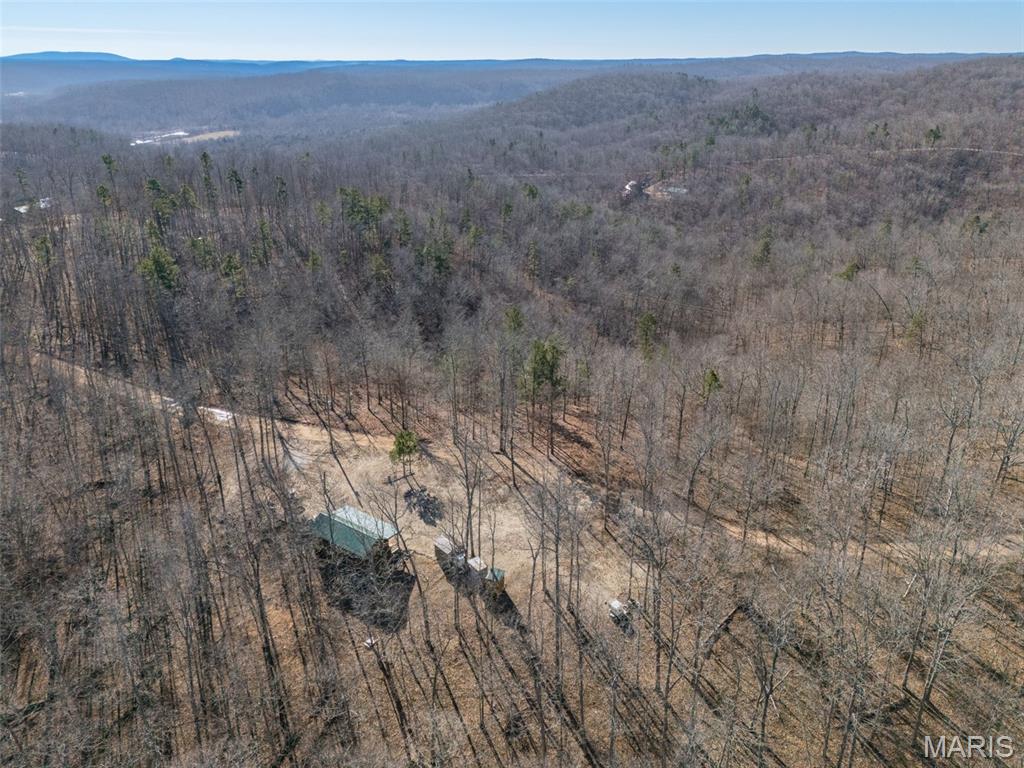 301 State Ridge Road Annapolis, MO 63620 - Photo 36 of 36