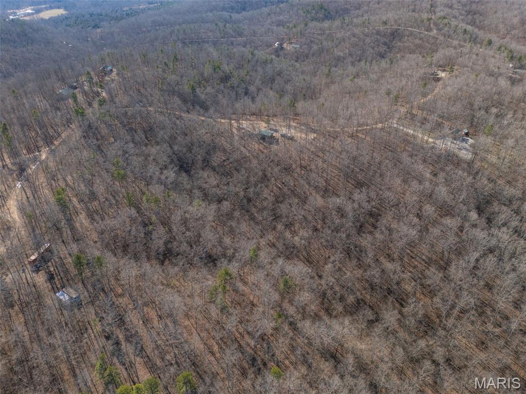 301 State Ridge Road Annapolis, MO 63620 - Photo 6 of 36