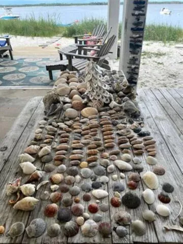 $2,800 | 1646 Alligator Drive, Unit 316, Alligator Point, FL 32346