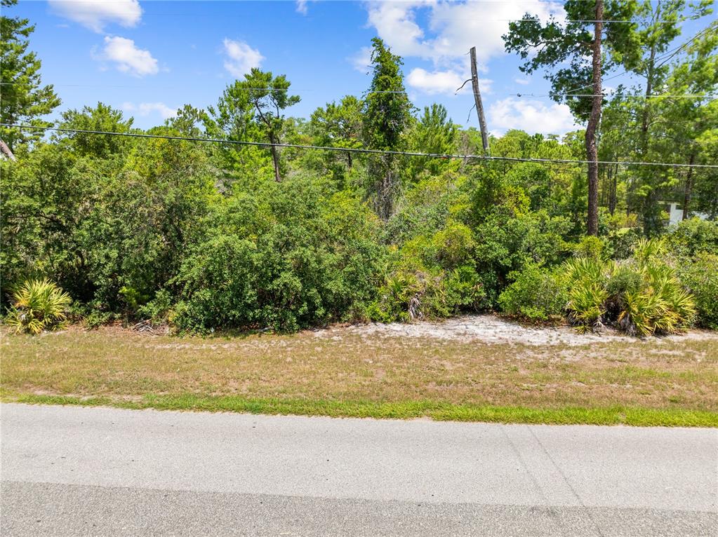 0 Oesterle Road St. Cloud, FL 34771 - Photo 20 of 23