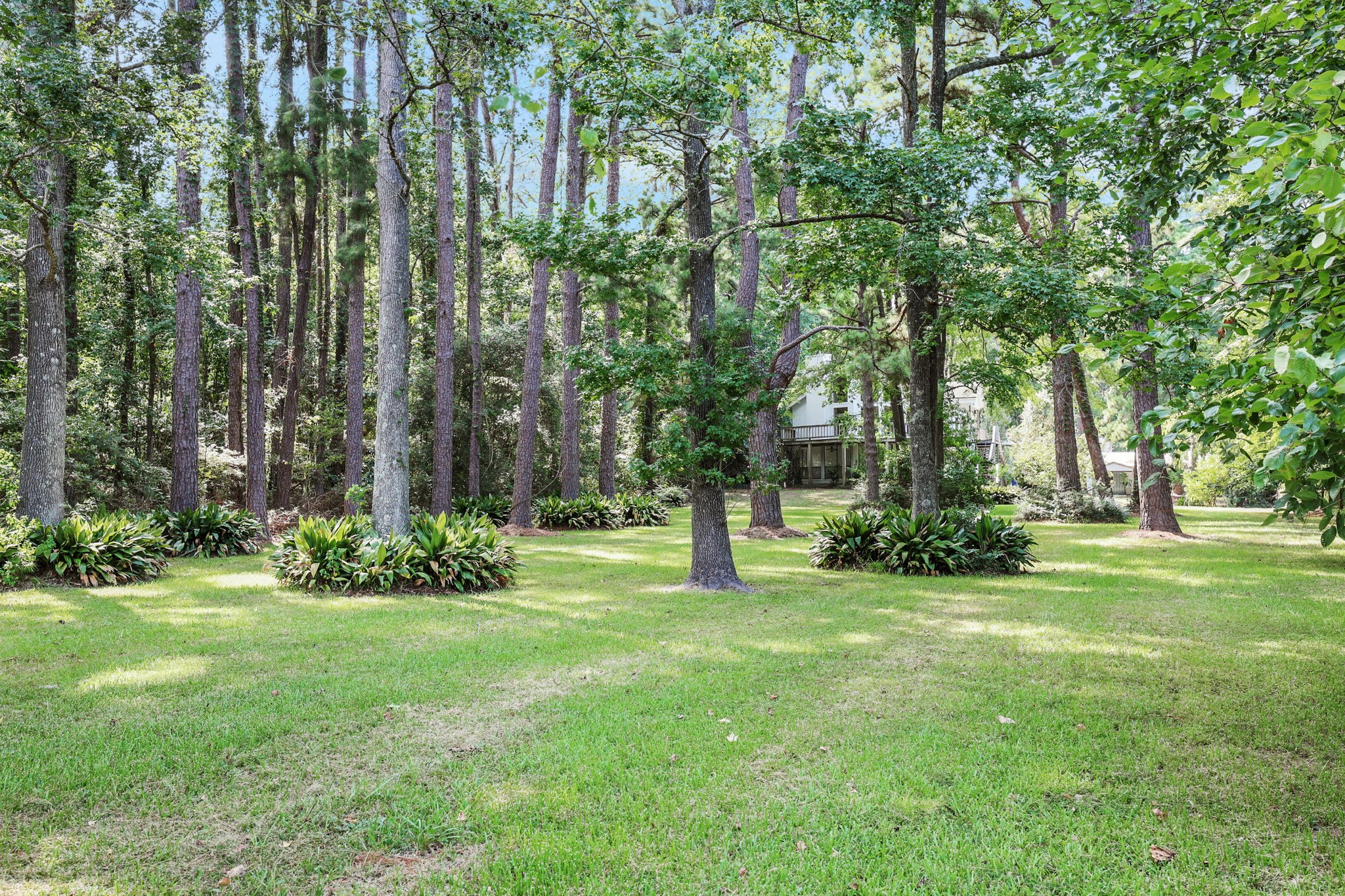 200 Johnson Road Coldspring, TX 77331 - Photo 42 of 47 The expansive yard creates a peaceful, park-like setting right at home