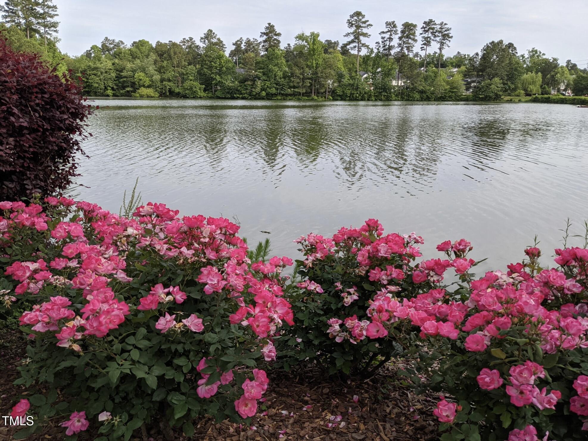 116 Lakeshore Drive Durham, NC 27713 - Photo 34 of 36 a view of a lake with a lot of flowers and a fountain in the background