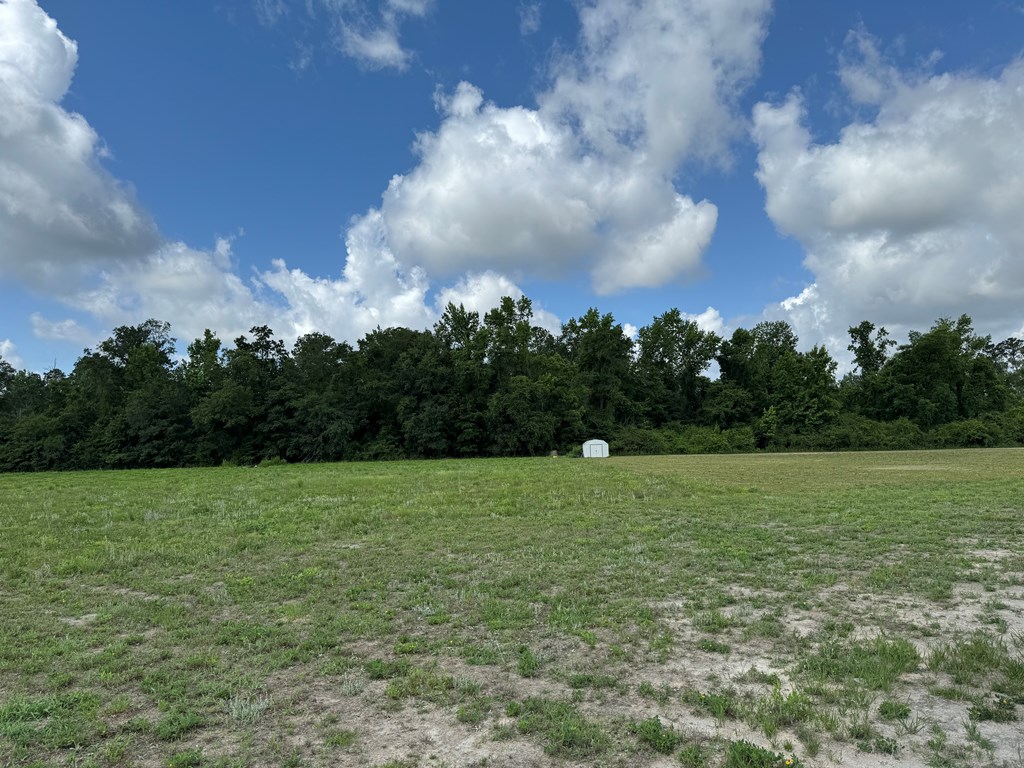 2553 Coot Adams Road Ashford, AL 36312 - Photo 3 of 7