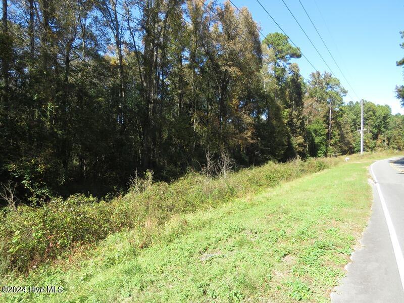 Tbd Turnpike Road Raeford, NC 28376 - Photo 12 of 13 IMG_7954