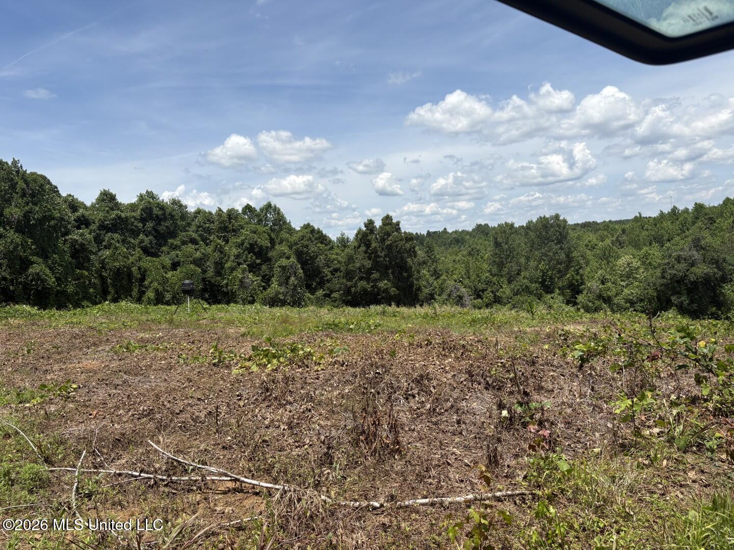 180 County Road New Albany, MS 38652 - Photo 22 of 61 Photo Jun 02 2026, 12 39 20 PM (Large)