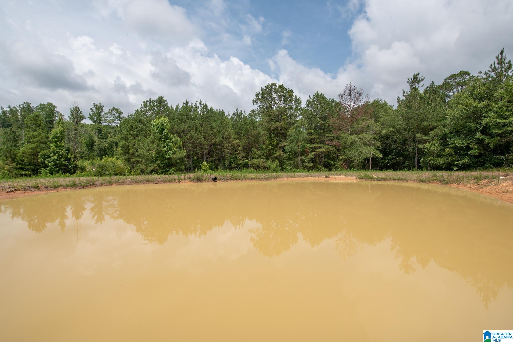 3025 Potato Patch Creek Road Marion, AL 36756 - Photo 10 of 24