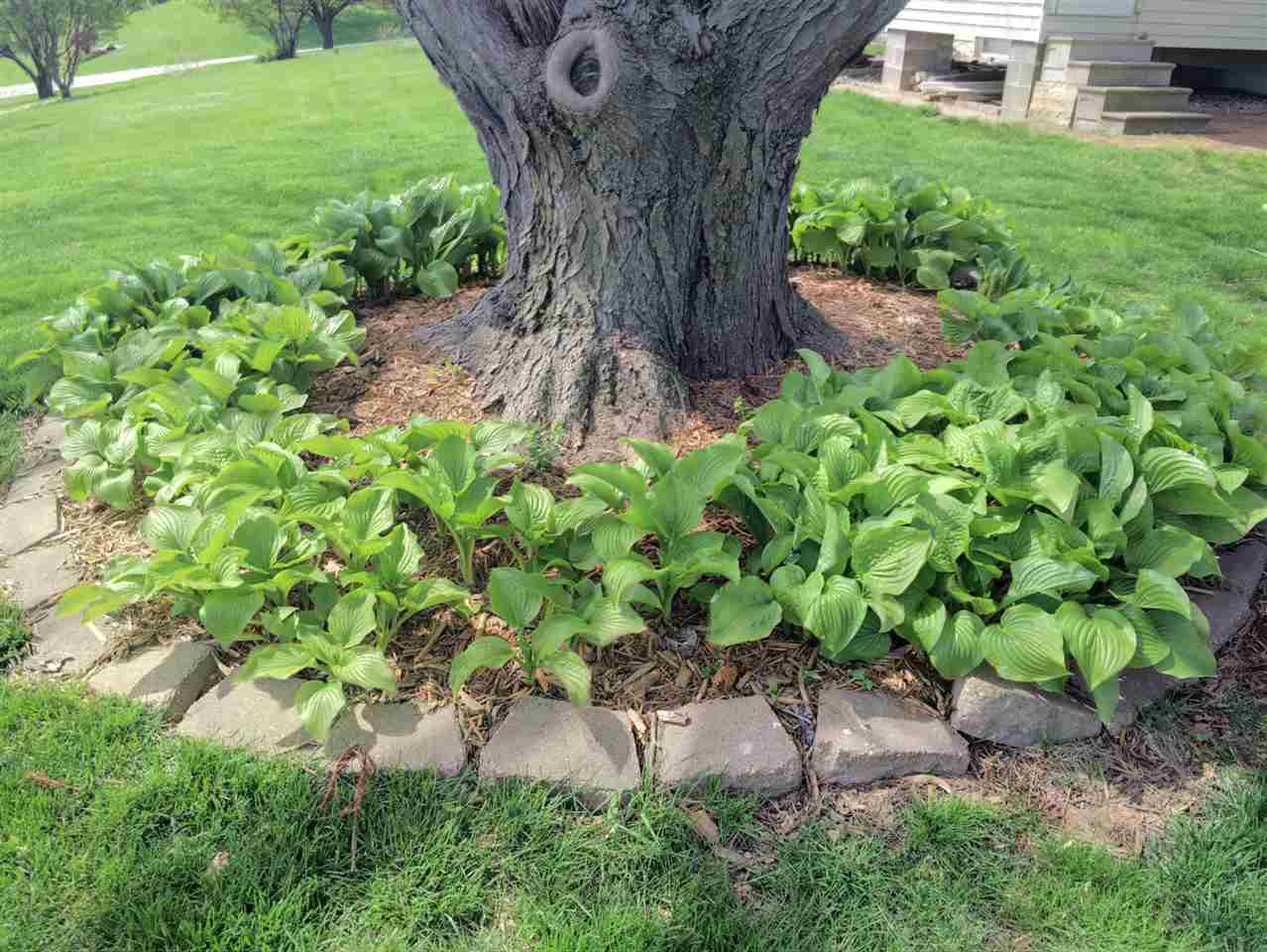19 Oak Grove Road Geneseo, IL 61254 - Photo 4 of 8 Gallery Image 4