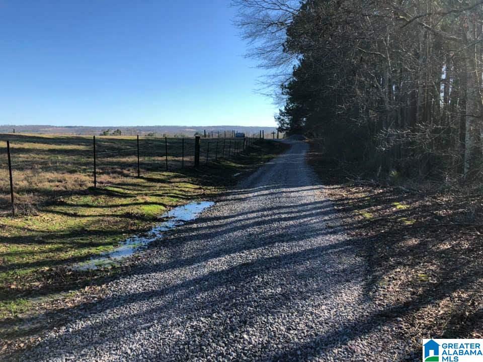 1099 Dailey Road, Unit 1 Altoona, AL 35952 - Photo 13 of 17