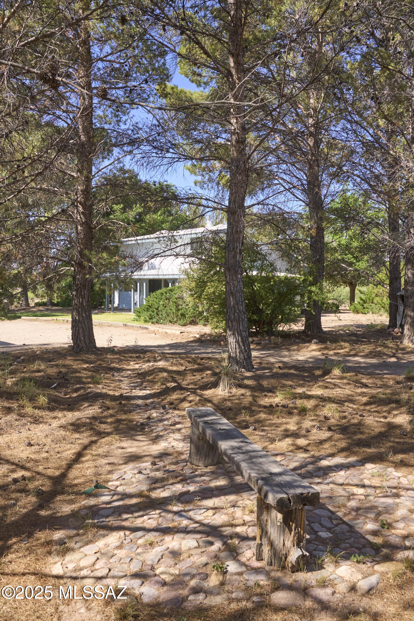 285 West Red Dog Road San Simon, AZ 85632 - Photo 9 of 38