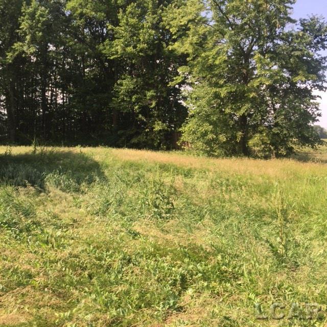 19733 Day Road Dundee, MI 48131 - Photo 20 of 21 31253790-19.JPG