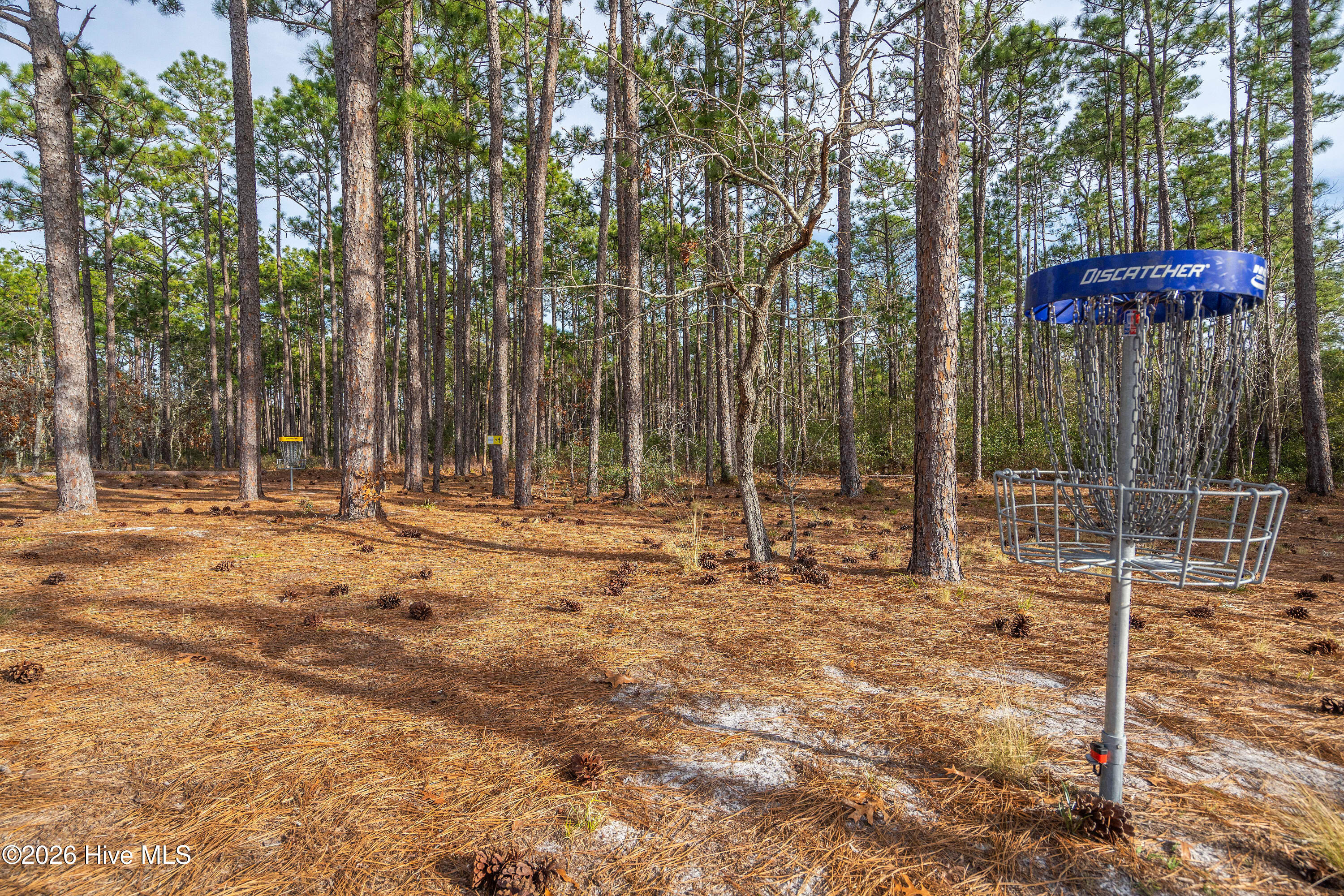 1021 Filmore Road Southport, NC 28461 - Photo 64 of 88 BSL Neighborhood Amenities