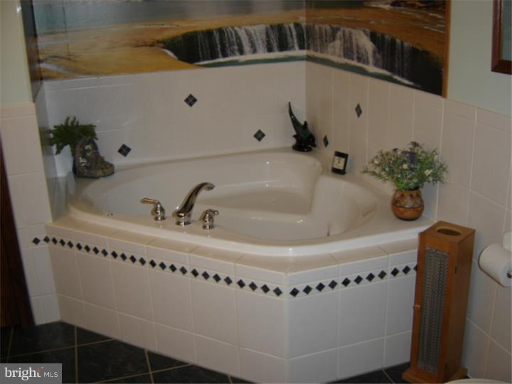 470 Marlboro Road Bridgeton, NJ 08302 - Photo 8 of 11 Master Bathroom