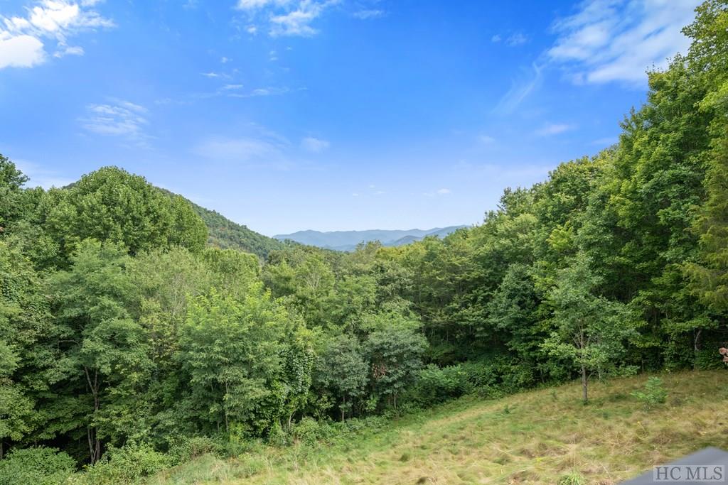 5984 Big Ridge Road Glenville, NC 28736 - Photo 13 of 17 Gallery Image 13