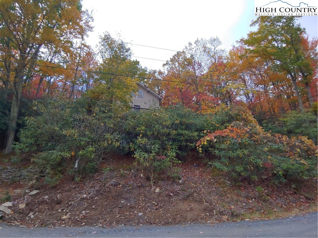 218 Oak Road Beech Mountain, NC 28604 - Photo 19 of 19 Gallery Image 19