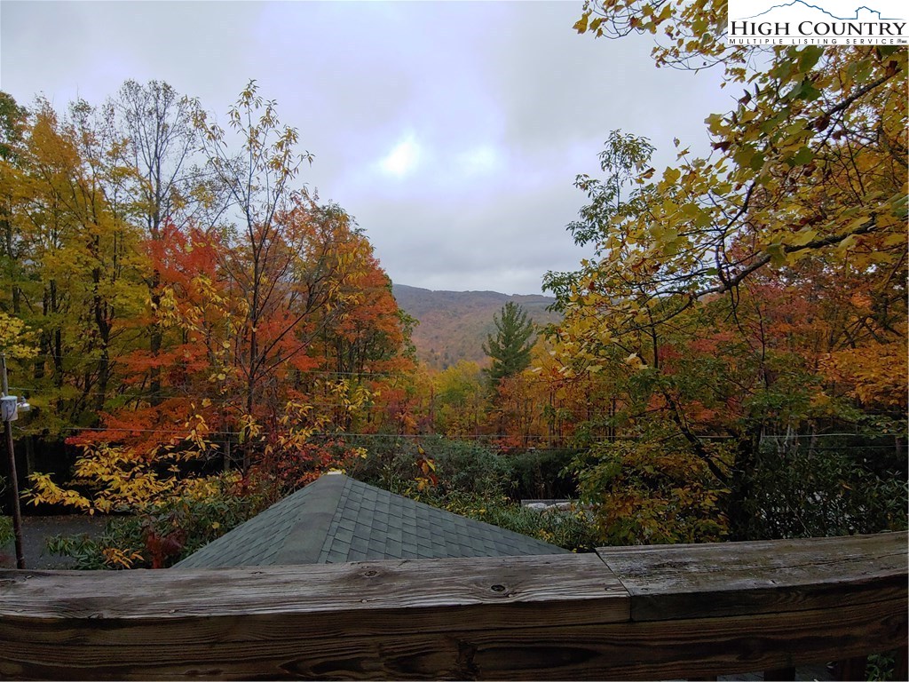 218 Oak Road Beech Mountain, NC 28604 - Photo 10 of 19 Gallery Image 10