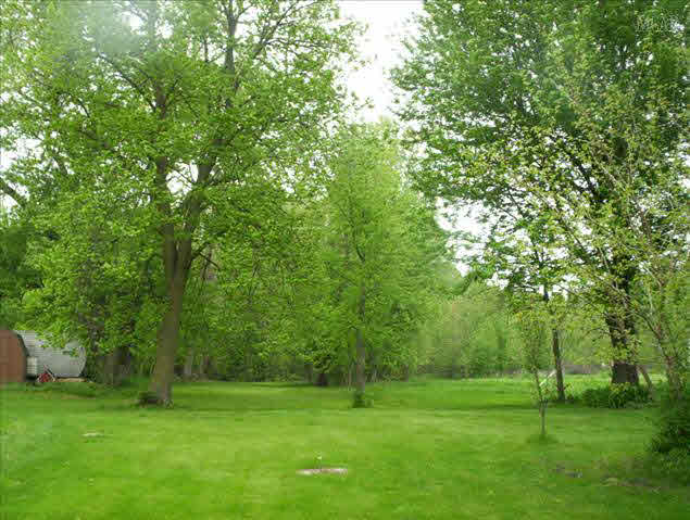 3600 Ohara Road Carleton, MI 48117 - Photo 18 of 20 Beautiful Setting