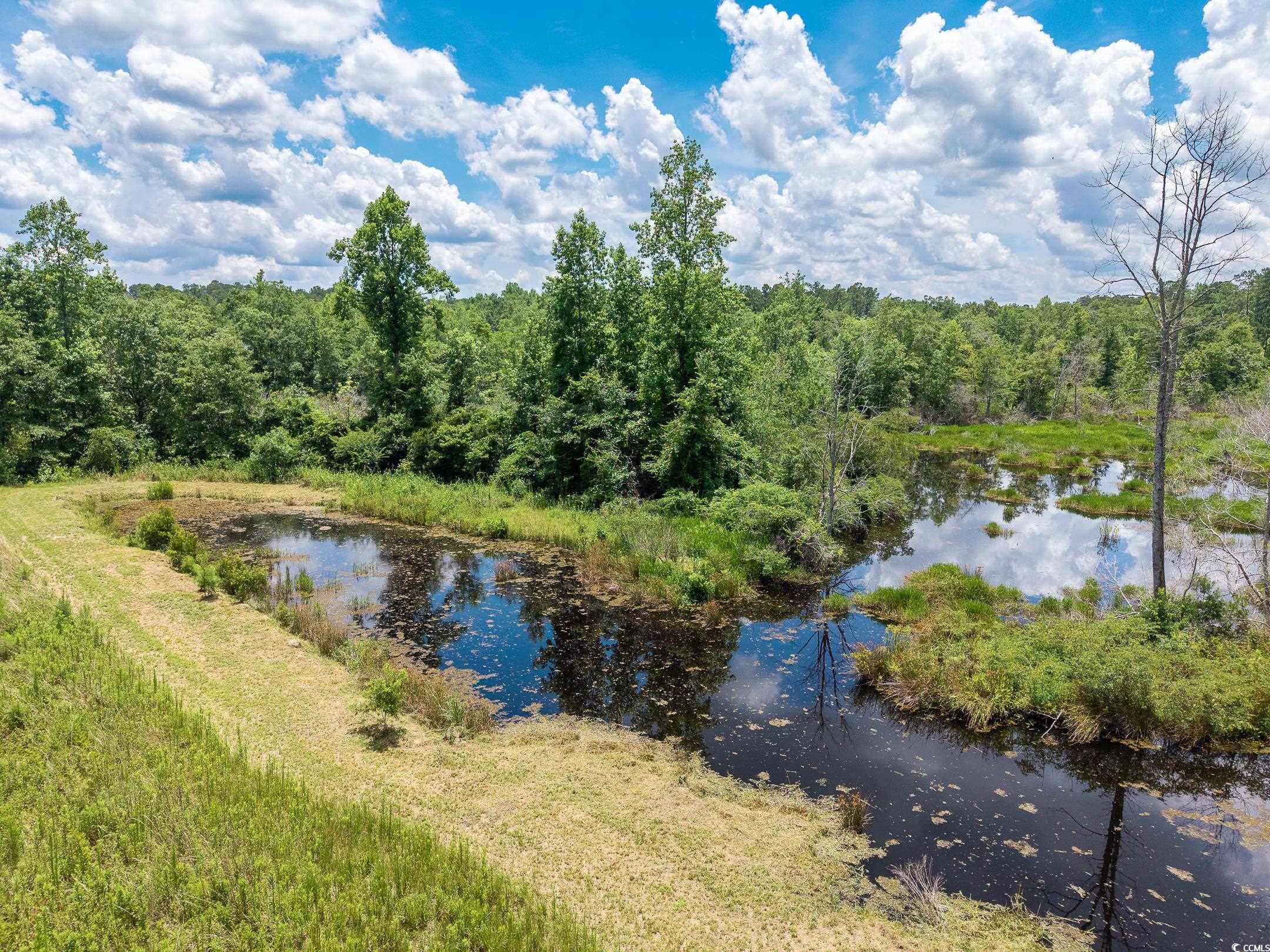 214 Allsbrook Road Loris, SC 29569 - Photo 13 of 15 Water view featuring a forest