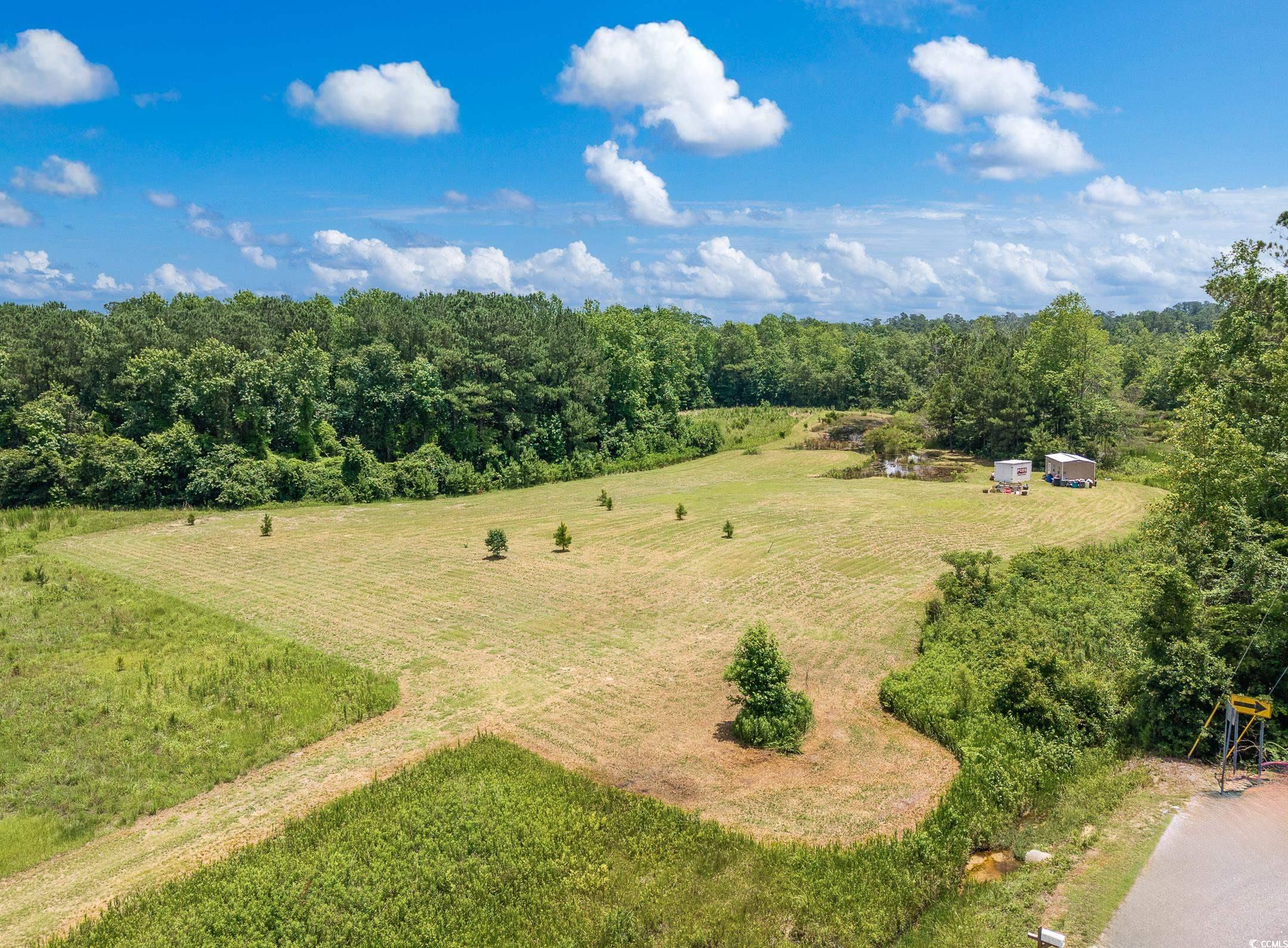 214 Allsbrook Road Loris, SC 29569 - Photo 15 of 15 Overview of rural landscape