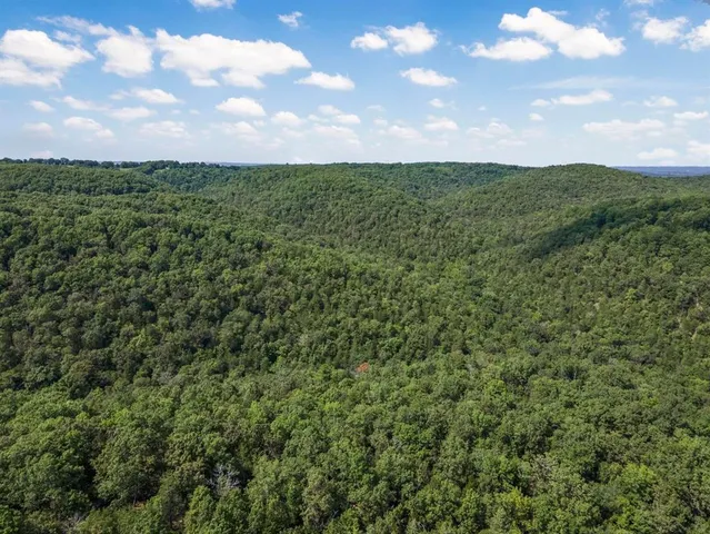 a view of a dry yard with a mountain