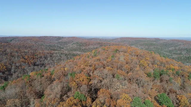 a view of a bench in a backyard