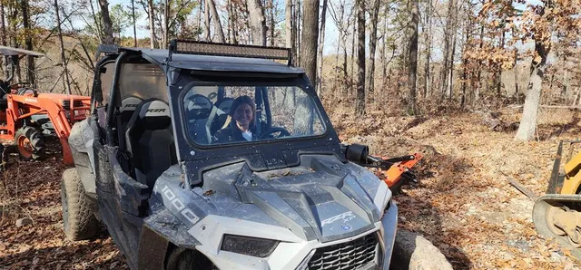 a view of a forest filled with trees