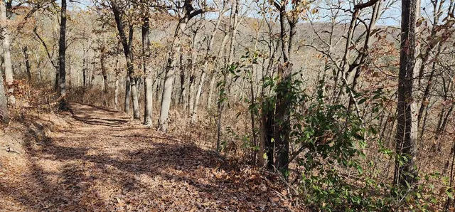 a view of road and trees