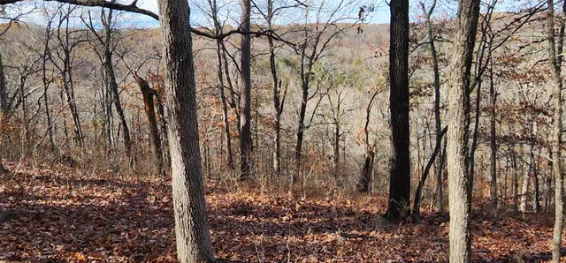 a view of a backyard of the house