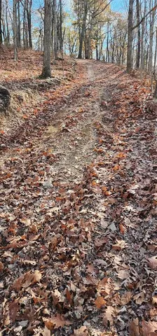 a view of wooden fence and trees