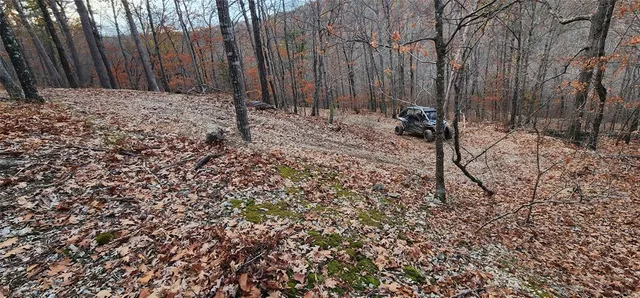 a view of a backyard with large trees