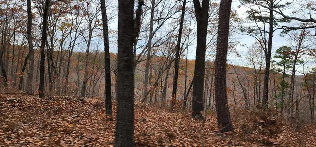 a view of a large yard with lots of bushes