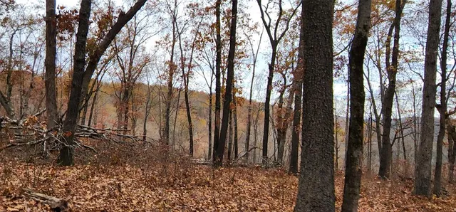 $7,000,000 | 3405 State Hwy JJ, Hollister, MO 65672