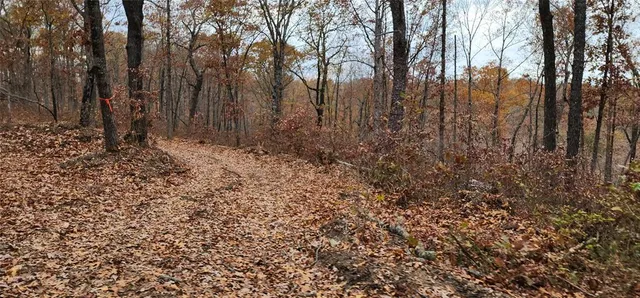 $7,000,000 | 3405 State Hwy JJ, Hollister, MO 65672