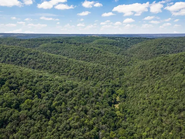 a view of a city with lush green forest
