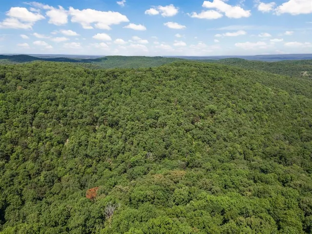 a view of a bunch of trees