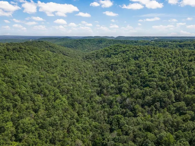 a view of a big yard with lots of green space and house in the background