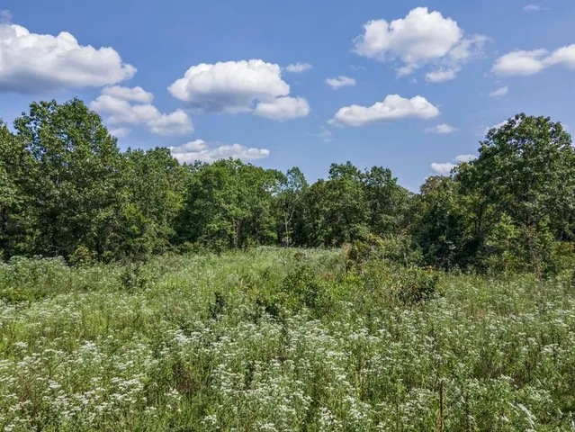 a view of a dry field