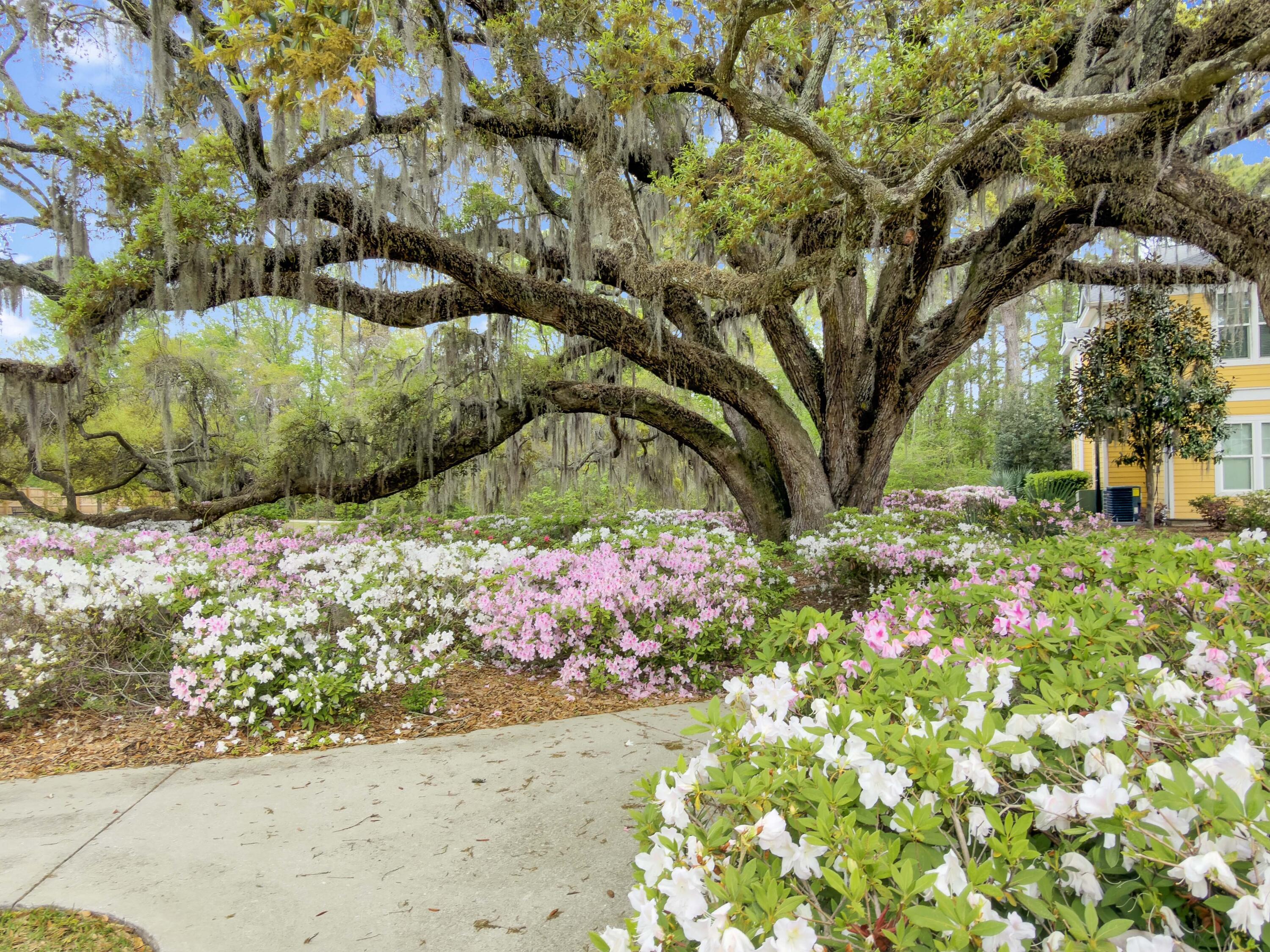2432 Chatelain Way Mount Pleasant, SC 29464 - Photo 18 of 29 IMG_4717