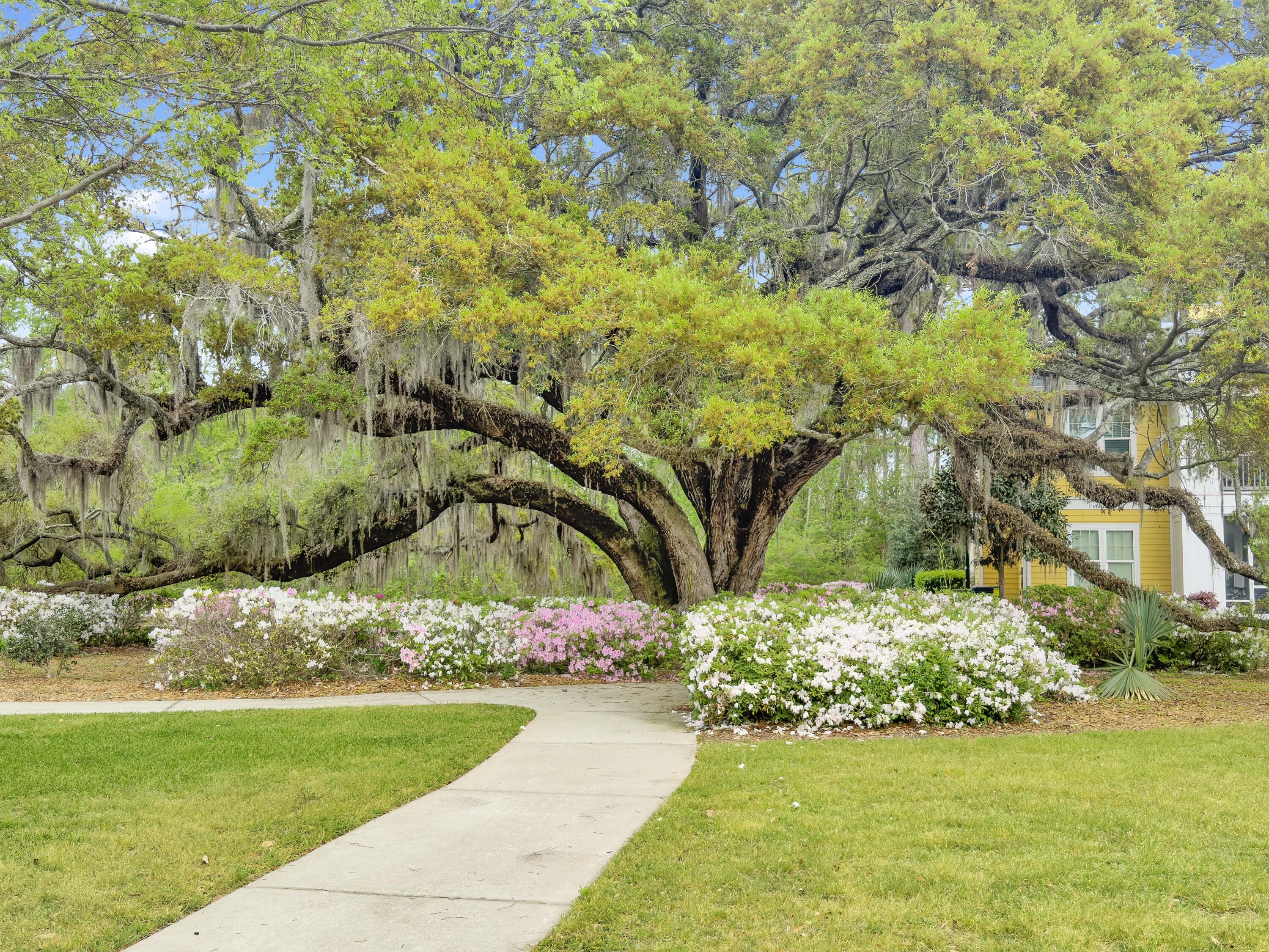 2432 Chatelain Way Mount Pleasant, SC 29464 - Photo 25 of 29 IMG_4716