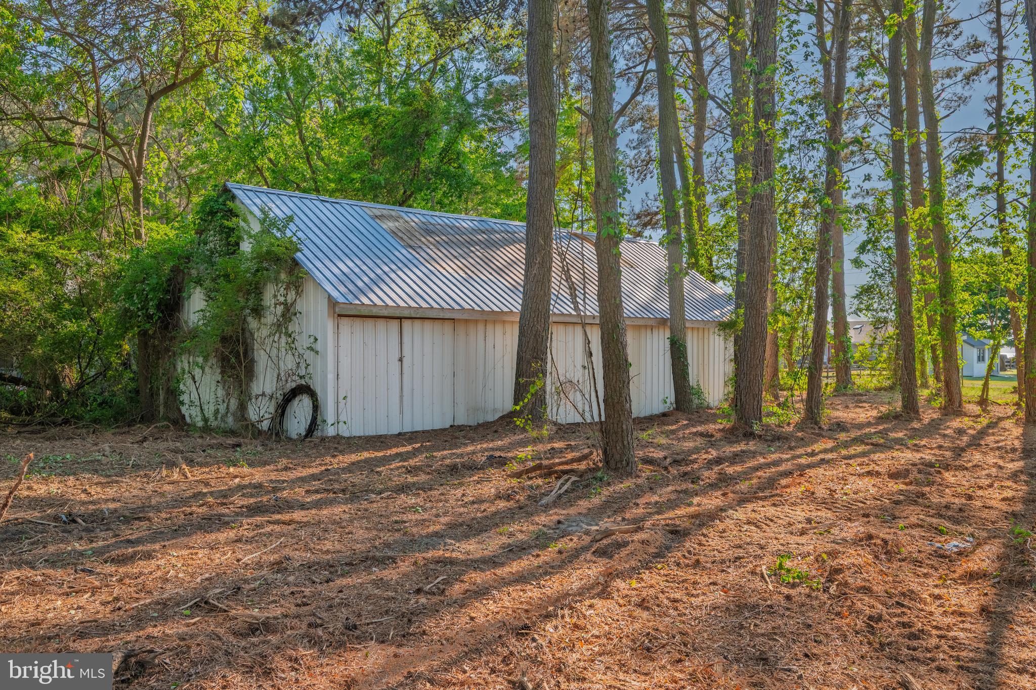 23163 Rolfe Lane Deal Island, MD 21821 - Photo 56 of 89 Gallery Image 56