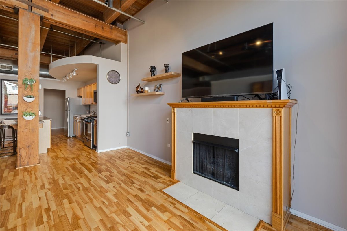 1632 South Indiana Avenue, Unit 403 Chicago, IL 60616 - Photo 10 of 23 a living room with a fireplace and a flat screen tv