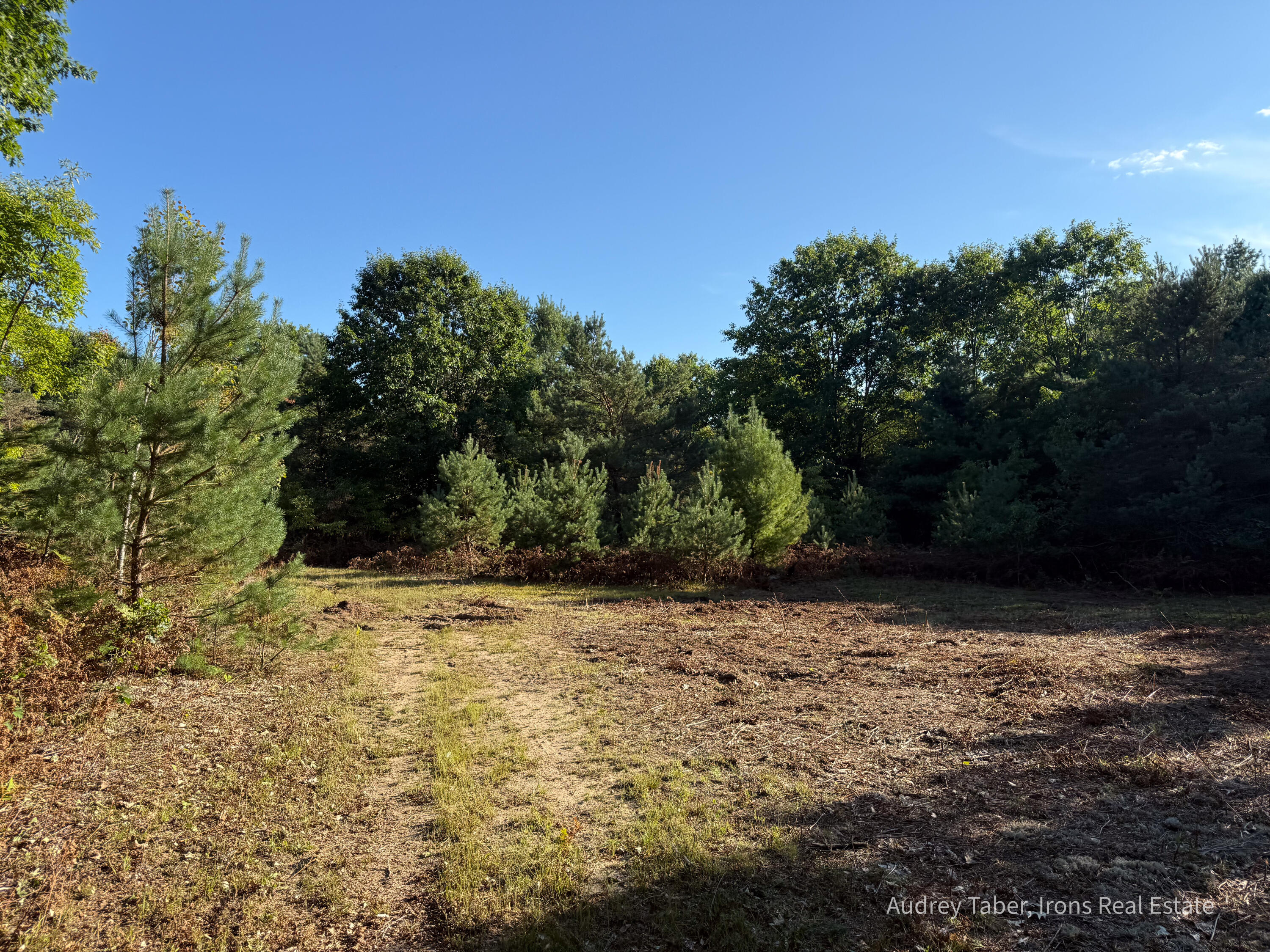 1-5 Clements Road Kaleva, MI 49645 - Photo 34 of 61 ClementsRd-17